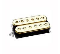 DiMarzio DP 224FGG at-1 Andy Timmons Humbucker - Pick-up per chitarra elettrica, colore: Oro