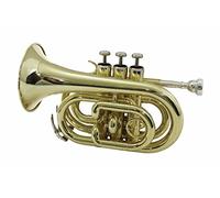 Dimavery - Tasca Tromba, Color Oro, Con Custodia E Accessori Dimavery Tp-300 Bb - SPEDIZIONE GRATUITA