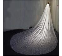 DIMEIYAN Velo da Sposa Lungo con Paillettes cattedrale Color Champagne Bianco Scintillante con Nastro a Pettine