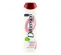 DIMENSION SHAMPOO SECCHI 250ML