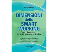 Dimensioni dello smart working. Sfide ed esperienze per una transizione sostenibile