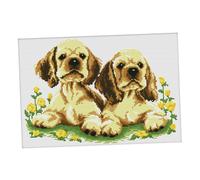 Dimensions Crafts Kit Punto Croce Timbrato 11CT Kit Ricamo Stoffa Aida