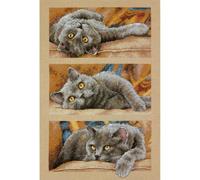Dimensions Needlecrafts 70-35301 Max Il Gatto Punto Croce, Cotone, Multicolore, 1.45 x 23.52 x 32.74 cm