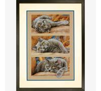 Dimensions Set punto croce "Max il gatto", Schema per il conteggio, 25,4x38,1cm