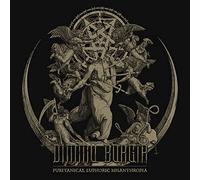 Audio Cd Dimmu Borgir - Puritanical Euphoric Misanthropia