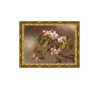 DìMò ART Quadro su tela con Cornice Oro Classica Martin Johnson Heade Hummingbird and Apple Blossoms misura 50x40 cm