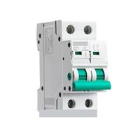 Din Rail 2Pole Main Switch Function Disconnector Switch Isolator Circuit Breaker 400VAC DP Breaker NWPNLXEA(100A)