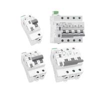 Din Rail GYM9 1P 2P 3P 4P MCB con dispositivo di autorichiusura Interruttore automatico di ripristino automatico Smart Home 63A MCB Auto Recloser(2P 40A)