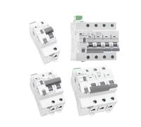 Din Rail GYM9 1P 2P 3P 4P MCB con dispositivo di autorichiusura Interruttore automatico di ripristino Smart Home 63A MCB Auto Recloser(2P 16A)