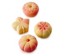 DINARA KASKO Stampo in silicone Wagashi per pasticceria. Stampo geometrico in silicone 3D per torte o mousse. Da pasticcere famoso in tutto il mondo