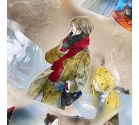 DingDing Vol12-43 Winter Day,Nastro PET opaco di adesivi Washi Tape pre-tagliati,1,97 INx10,94 YD, design vintage originale per forniture di album di ritagli, diario, diario spazzatura, diari