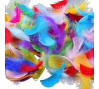 Dinghaole 300 piume colorate fai da te per arte, cappelli e abbigliamento, piume luminose di varie dimensioni per decorazioni, feste, matrimoni, morbide e delicate sulla pelle