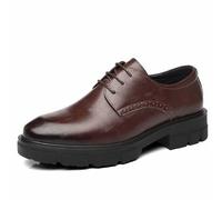 Dinglong Sneakers Eleganti Uomo Scarpe con Rialzo da Uomo 10 cm/8 cm/5 cm Scarpe con Rialzo di Altezza Suola Spessa Orecchio Esterno Scarpe da Lavoro Formali Non stancanti Antiscivolo