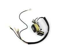 Dingmao ET950 ET650 IE45 TG950 con accenditore con bobina di accensione magnetica(Black)