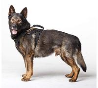 DINGO GEAR Cobra Extreme Pettorina per cani con manico forte, affidabile sistema di sicurezza fatto a mano, nero, taglia L S03203