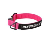 DINGO GEAR - Collare per cani Cobra con fibbia di sicurezza professionale ed etichetta attaccata con chiusura in velcro, collare affidabile per addestramento alla difesa, attività speciali,
