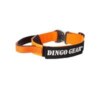 DINGO GEAR - Collare per cani Cobra con fibbia di sicurezza professionale, manico robusto ed etichetta attaccata con chiusura in velcro, per addestramento alla difesa, attività speciali, circonferenza