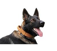 DINGO GEAR Drago - Collare per cani in pelle, ammortizzato, con manico largo e resistente, fatto a mano, circonferenza del collo 40-48 cm, per allenamento e passeggiate, protezione da tiro,