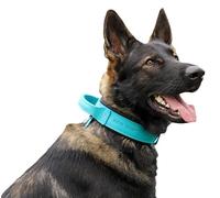 DINGO GEAR Drago - Collare per cani in pelle, ammortizzato, con manico largo e resistente, fatto a mano, circonferenza del collo 56-64 cm, per allenamento e passeggiate, protezione da tiro,