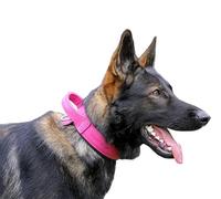DINGO GEAR Drago - Collare per cani in pelle, ammortizzato, con manico largo e resistente, fatto a mano, circonferenza del collo 40-48 cm, per allenamento e passeggiate, protezione da tiro,