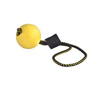 DINGO GEAR WWW.DINGOGEAR.COM 1977 Punto di Accesso Wireless Zyxel Cloud Ibrido