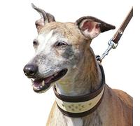Dingo Pelle Morbida Whippet Collare
