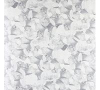 Dini, Shahrokh - Compost Black Label 116