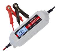 Dino Caricabatterie 4 A 6 V/12 V con Tester per batterie IP65 per Auto Moto Quad