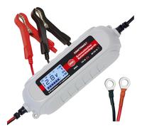 Dino KRAFTPAKET Caricabatterie Intelligente e Automatico da 4 A, 6 V/12 V, per P