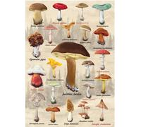 Puzzle Collage Funghi 1000 Pezzi