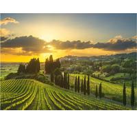 Dino - Puzzle Vigneti della Maremma XXL - 500 Pezzi