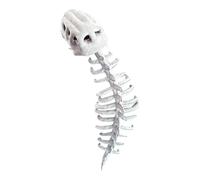 Dinosaur Costume, Plush Skeleton Halloween Outfit, Soft 1 Piece Design, Comfortable Fit, Fun Cosplay Dress Up For Men, Women, Kids, Adults, Masquerade, Birthday, Holiday, Carnival, Performance, Events