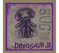 Dinosaur Jr - Bug Live