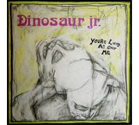 Dinosaur Jr. You're Living All Over Me (Vinyl LP) 12" Album