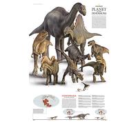 Dinosauri nel continente Gondwana. Carta murale. Ediz. inglese - AA.VV.