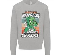 Dinosauro Non Mi Piacciono Le Persone Del Mattino Divertente Uomo Felpa Maglione