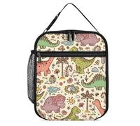 Dinosauro Tiranossauro Rex Lunch Box per uomini donne borse per il pranzo isolate borse frigo portatile borsa per il lavoro picnic