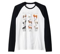 Dio Dice Che Sono Cavallo Cristiano Ragazza Adolescente versi biblica Maglia con Maniche Raglan