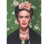DIODARK Kit di pittura a olio fai da te per adulti, per adulti, pittore Frida, tela prestampata, pittura acrilica, funziona per decorare le pareti di casa, regali, 40 x 50 cm, senza cornice (7901)