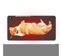 Dioeazh Cuscino Riscaldato Per Sedile, Tappetino Termico Portatile per Gradinate e Sedili da Stadio, Coperta Termica Elettrica Impermeabile Per Lombare Anca Schiena Coscia Sedie A Rotelle Anziani Auto