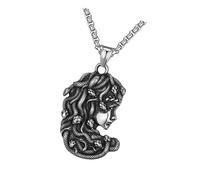 Diogeynu Elegante collana a serpente Ouroboros in acciaio inox, accessorio per il collo del serpente per stili gotici moderni alla moda per uomini e donne, Misura unica, come descritto, come descritto