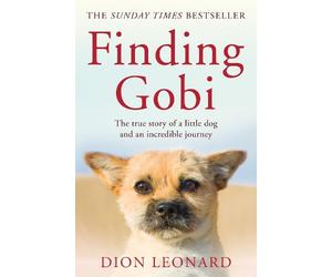 Dion Leonard Finding Gobi (Main edition) (Tascabile)