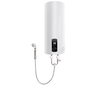DioPaiB Scaldacqua elettrica da 60 l, scaldabagno verticale 2000 W, set di caldaia elettrica con caldaia a temperatura 220 V, scaldabagno elettrico 25-75 °C, per bagni, cucine