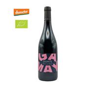 Diorite Gamay sur Granit Côtes du Forez 2024