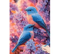 Dipingere con i Numeri Adulti Bird Paint by Numbers Quadro da Dipingere con i Numeri Bambini Fiori Painting by Numbers Hobby Creativi Adulti Tela da Dipinti con Numerati Kit Regalo Donna 50x70cm I-60