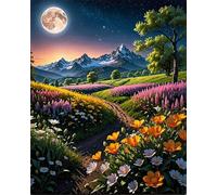 Dipingere con i Numeri Adulti,Campo di fiori notturni Kit di Pittura su Tela Fai-da-Te per Principianti,40x50cm con 3 Pennelli e Colori aAcrilici Paint by Numbers per Casa Decora Regalo con cornice
