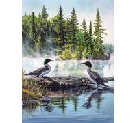 Dipingere Con I Numeri Adulti Canard Paint by Numbers Rivière Pittura Con I Numeri, Fai Da Te Kit Pittura Adulti Couleur Tela Paintings Kits per Decora la Casa Regalo, Senza Cornice 40x60cm 8-RM31