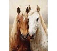Dipingere con i Numeri Adulti Cavallo Paint by Numbers Animali Colorare con i Numeri Hobby Creativi Adulti con 3 Pennelli Colori Acrilici per Dipingere, Decorazioni Casa, Regalo 50 x 70 cm -zjn2507D7