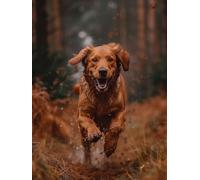 Dipingere Con I Numeri Adulti Chien Paint by Numbers Golden Retriever Pittura Con I Numeri, Fai Da Te Kit Pittura Adulti Paintings Kits con Accessori per Decora la Casa, Senza Cornice 40x60cm 8-G055