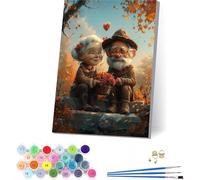 Dipingere con i Numeri Adulti con Telaio Coppia, Dipingere con i Numeri Adulti Fiore, DIY Paint by Numbers con 3 Pennelli e Vernice Acrilica, per Decorazioni Casa, Regalo Donna 50x65cm 2-5152